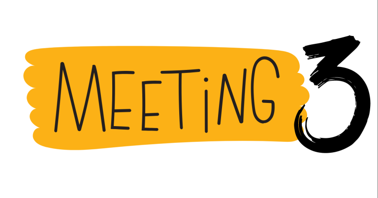 Meeting 3